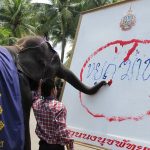 1D283898DFB64789BF15C30CF5E0D794