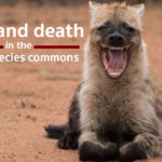 Cover multispecies commons