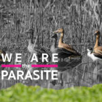 Cover weareparasite