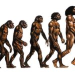 1361835434 5173 evolution